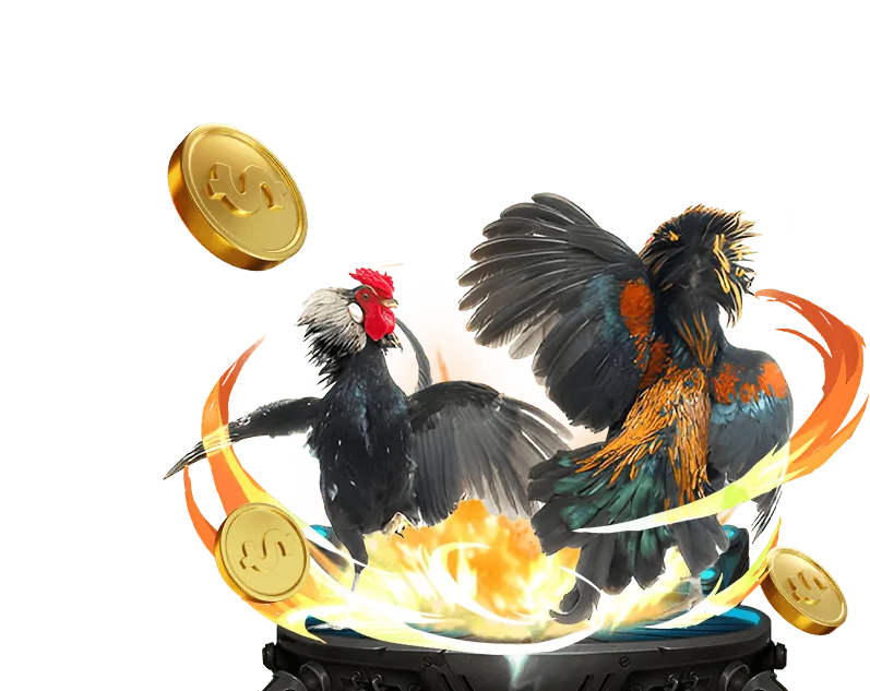 Hướng Dẫn Casino Trực Tuyến 888aa bet